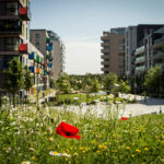 Beautiful plants in front of buildings